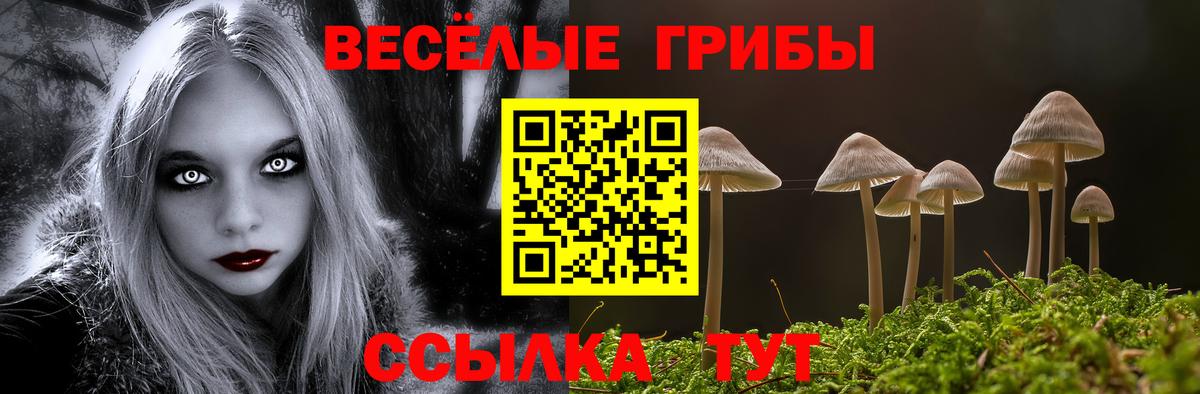 Галлюциногенные грибы GOLDEN TEACHER Ставрополь