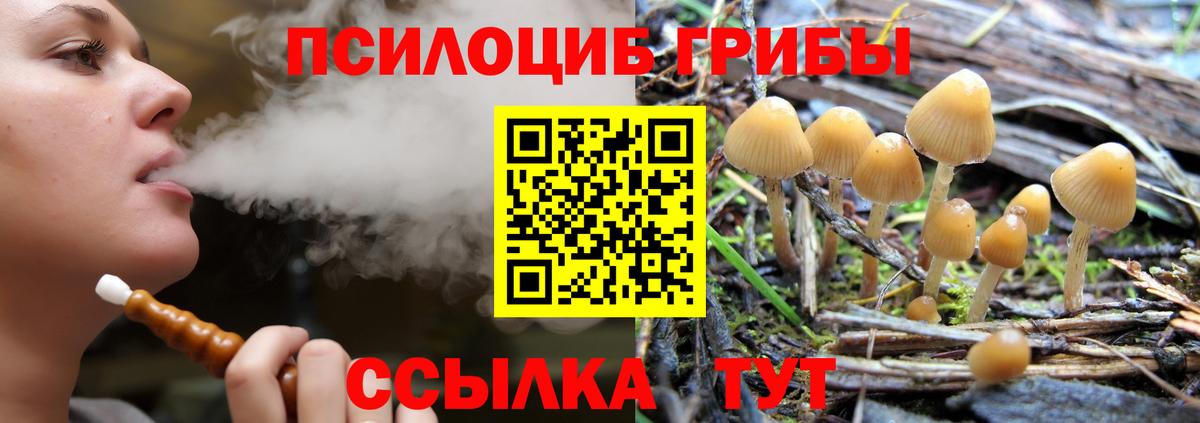 Ставрополь  Галлюциногенные грибы прущие грибы  Вход с VPN 